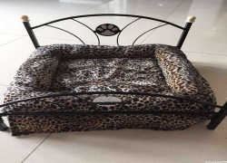 靠谱的宠物医生