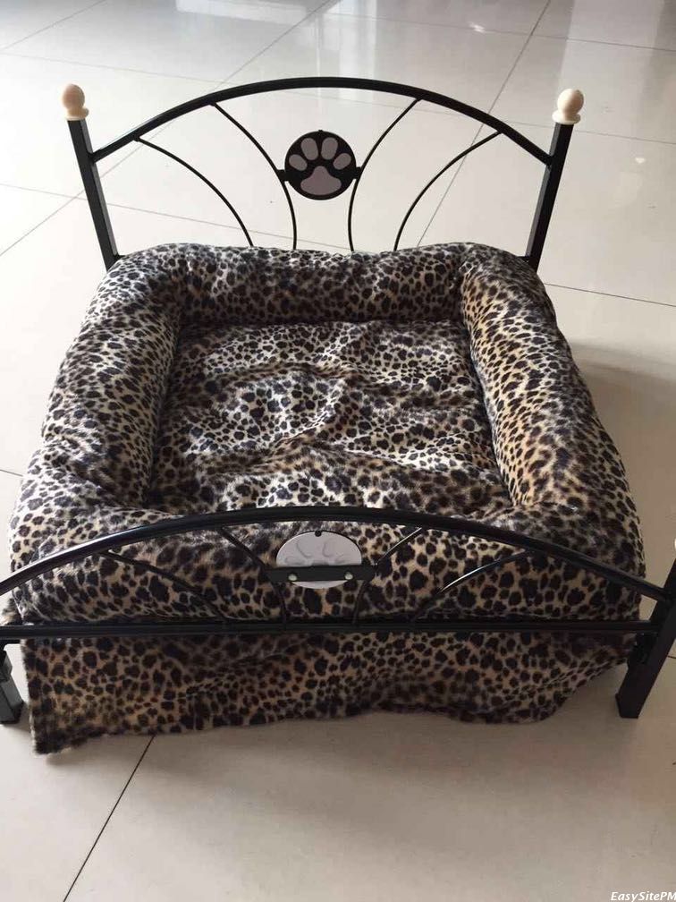 靠谱的宠物医生 