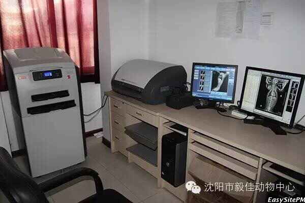 沈阳动物医院