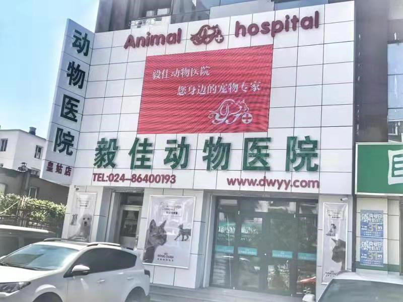 沈阳毅佳动物医院